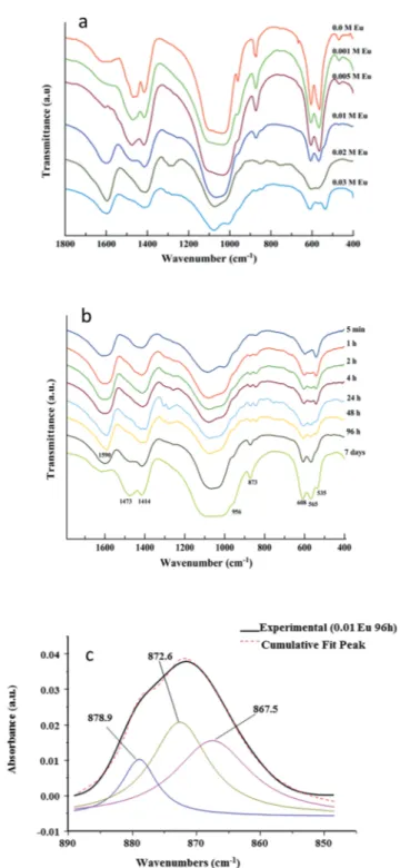 Fig. 4 FTIR spectra of samples prepared: (a) in the presence of Eu 3+