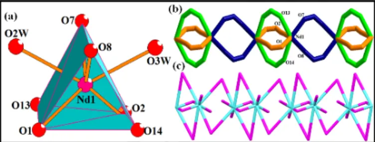 Fig 1. (a) Trigonal bicapped geometry around Nd(III) metal ion in complex 1, (b)  L1 bridged paddle wheel dimeric units (green and orange colour) further bridged  by L1 (blue colour), forming linear tapes along a axis, (c) [1 0 0] chains of 1 with  2-conne
