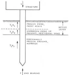 Figure  1 shows schematically the various vertical  forces  acting on a pile  foundation in permafrost