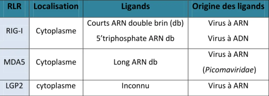 Tableau 6 Localisation et ligands des RLR 