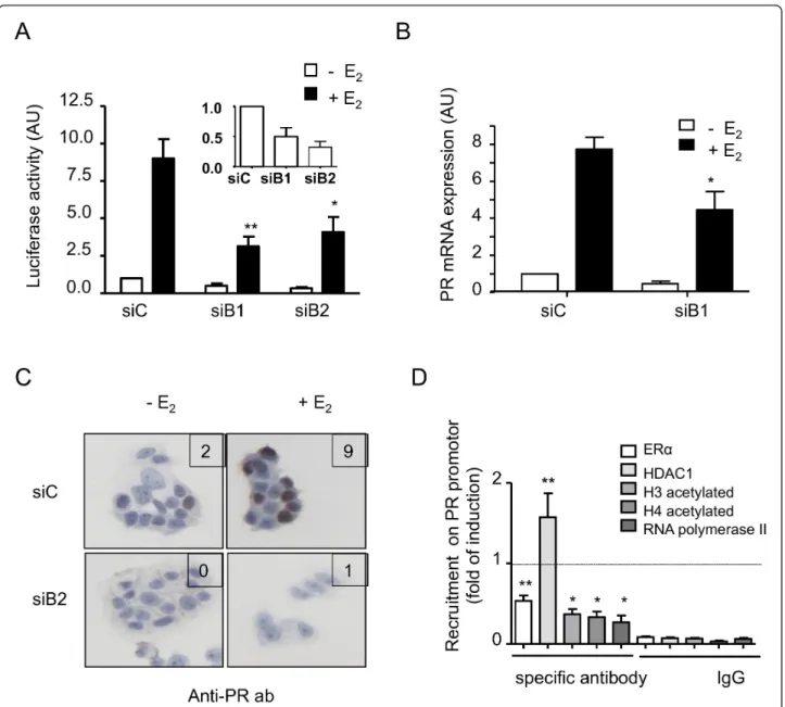 Figure 4 RhoB downregulation effect on estrogen receptor alpha-dependent transcription and recruitment of cofactors on PR promoter