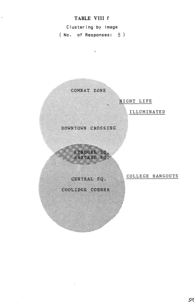 TABLE  VIII  f Clustering  by  Image (  No.  of  Responses:  5  ) NIGHT  LIFE ILLUMINATED 