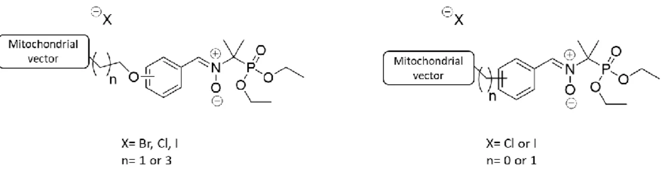 Figure 1: Structure of new low-cytotoxic nitrones targeting mitochondria