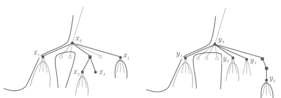 Fig. 3. Illustration of the notion of chainable areas of a seed of size 5: P = {(x 0 , y 0 ), 