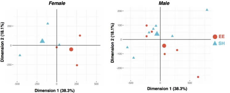 Figure 6a. PCA of ATAC-seq peak counts in EE and SH females (left; n = 3 EE vs. 3 SH mice)