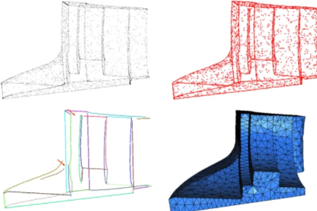 Figure 11: Left: input point cloud of Ramses model downsampled to about 27% of the original dataset (top), extracted feature polylines (bottom)