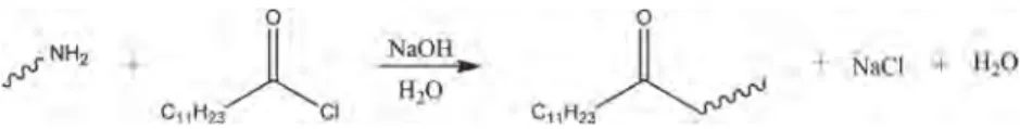 Fig. 1. Acylation via Schotten–Baumann reaction