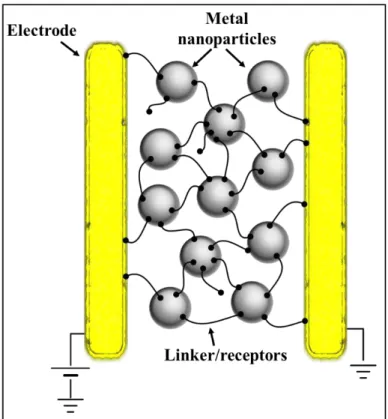 Figure 2.4: Schematic of a generic chemiresistor device based on metal  nanoparticles and organic di-thiols