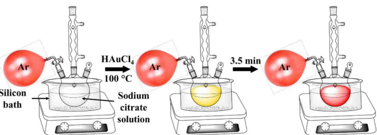 Figure 3.1: Schematic of the synthesis for the water-soluble gold nanoparticles. 