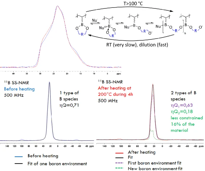 Figure  4.  Solid-state  11 B  NMR  study  of  poly(4-vinylphenylboronic  acid,  pinacol  ester)  (PSBPin)
