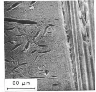 Fig.  2.  -  Surface of  non  gel-coated  G R P  sheet aged for 600 cycles  Fig.  5.  -  Surface  of  non  gel-coated  G R P   sheet  subjected  to 
