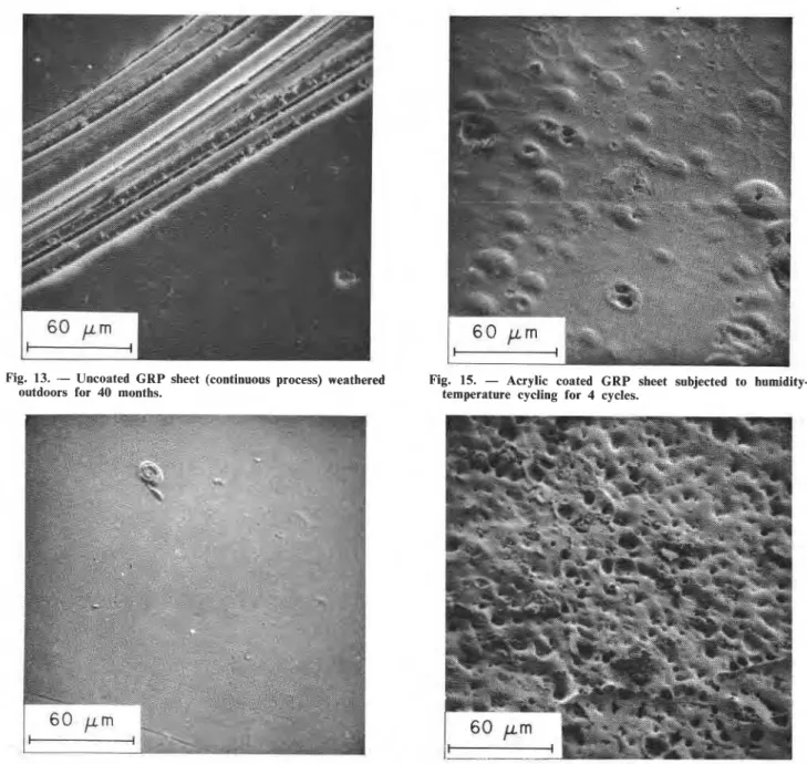 Fig.  13.  -  Uncoated  GRP sheet  (continuous  process)  weathered  outdoors  for  40  months
