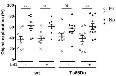 Figure 13. Effet de la L41 sur la  mémoire de  reconnaissance des souris Ts65Dn dans le  test du NOR