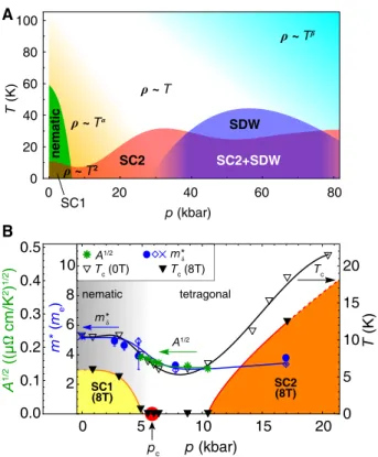 FIG. 4. Pressure-temperature phase diagrams. (A) Extended phase diagram of FeSe 0.89 S 0.11 based on our work and previous  re-ports [5]