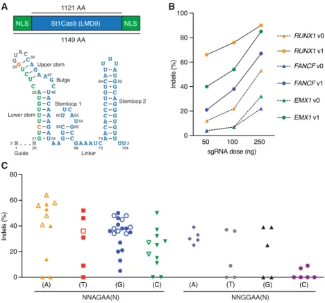 Figure 1. Functional PAM sequences for robust and potent DNA cleavage by St1Cas9 LMD9 in mam- mam-malian cells