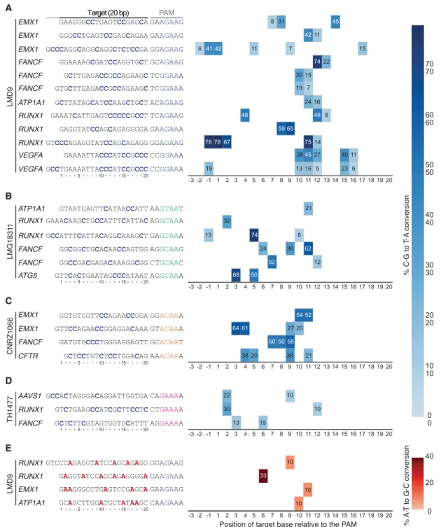 Figure 3. Broadening the targeting scope of base editors using St1Cas9 variants. (A) K562 cells were transiently transfected with single-vector constructs driving expression of St1BE4max LMD9 and its sgRNA