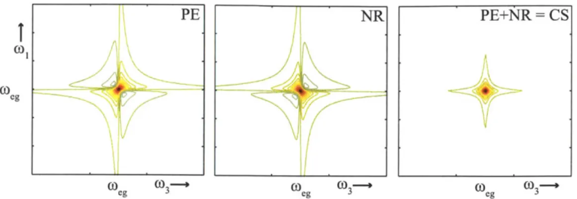 Figure  2-7:  Imaginary  components  of 2D  spectra.  Addition  of photon  echo  (PE,  left) and  non-rephasing  (NR,  middle)  2D  spectra  lead  to  correlation  spectra  (CS,  right) with  purely  absorptive  lineshapes  in  the  imaginary  component.