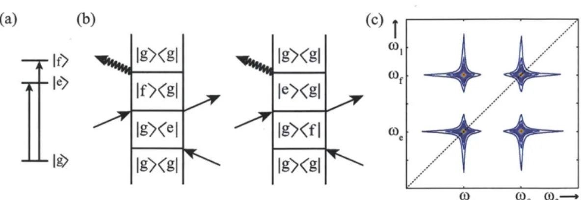Figure  2-8:  Three-level  system  2DS.  (a)  &#34;V&#34;  system  states.  (b)  New  Feynman  dia- dia-grams  for  72  = 0  that  arise  due to  coupling  between  states  I  e) and  If)