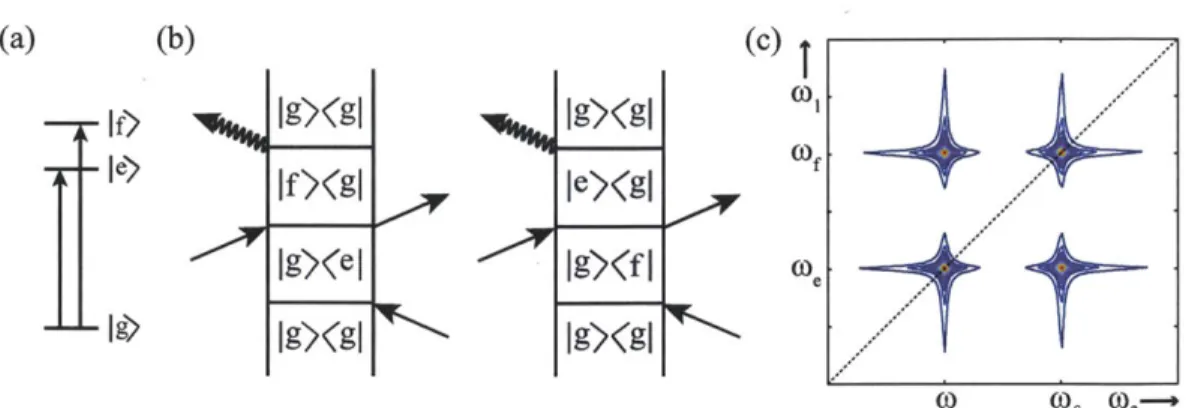 Figure  2-8:  Three-level  system  2DS.  (a)  "V"  system  states.  (b)  New  Feynman  dia- dia-grams  for  72  = 0  that  arise  due to  coupling  between  states  I  e) and  If)
