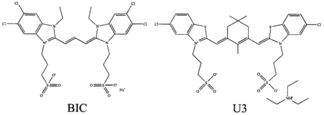 Figure  4-1:  Two  examples  of cyanine  dye  molecules  exhibiting  J-aggregation  under appropriate  conditions.
