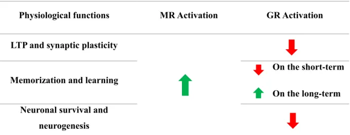 Table  1. Comparison  of  physiological  functions  of  activated  MR  and  GR  on  LTP  and  synaptic  plasticity;  memorization  and  learning;  neuronal  survival  and  neurogenesis  (Meijer and de Kloet 1998, Le Menuet and Lombes 2014)
