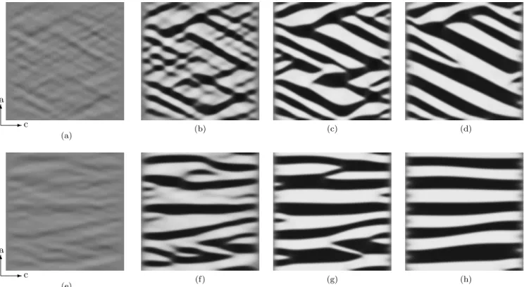 FIG. 6: An initially homogeneous system (Li .5 FePO 4 , 500x500 nm) decomposes into regions of high and low lithium concentration when held at zero current
