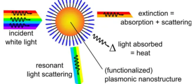Fig. 2. Photophysical processes of  plasmonic nanostructures: resonant light absorption vs resonant light scattering
