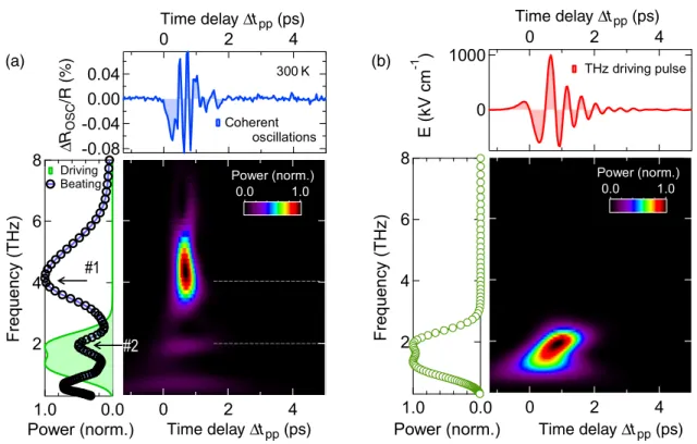 FIG. 2. THz ω LO mode-specific electronic band coupling revealed by intense THz pump-induced quantum beat dynamics and spectra at room temperature