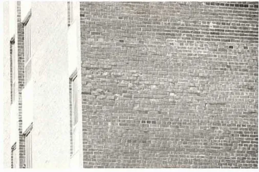 Figure  19  l&amp;aufrures  des briques  sur le  mur  est  perticuliZrement  ssrieuses 
