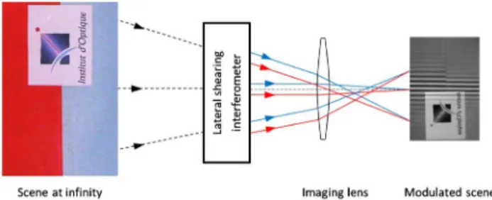 Fig. 1. Static imaging FTS based on a lateral shearing interferom- interferom-eter; each incident ray is split into two emerging rays (blue and red) separated by a constant translation