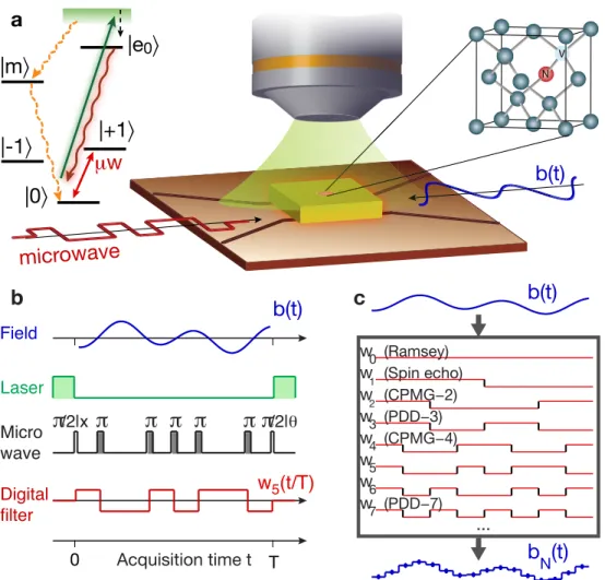 Figure 2-1: Understand the Walsh reconstruction protocol. a, A single nitrogen-vacancy (NV) center in diamond, optically initialized and read out by  confo-cal microscopy, is manipulated with coherent control sequences to measure the  arbi-trary profile of