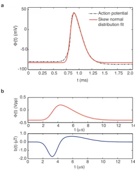 Figure 2-9: Simulate an action potential. a ,The simulated action potential of a rat hippocampal mossy fiber boutons [46] is approximated by a skew normal impulse.