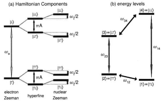 Figure 2-1:  Energy  levels for  le-1n spin system with isotropic hyperfine  coupling:
