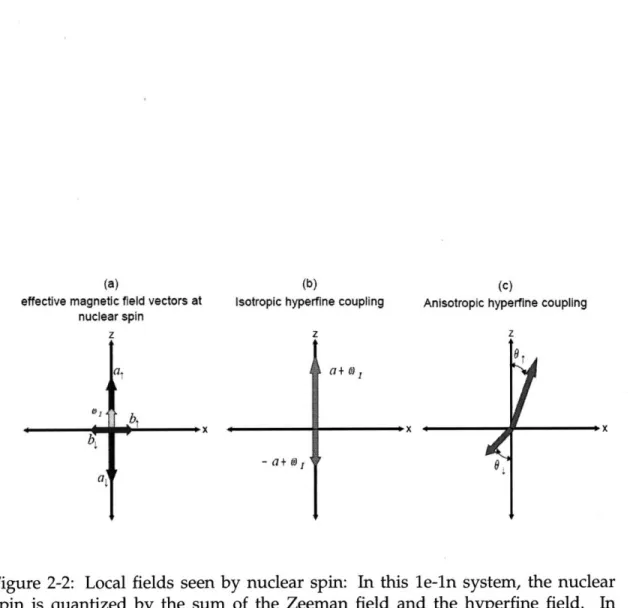Figure  2-2:  Local  fields  seen  by nuclear  spin:  In  this  le-ln system,  the  nuclear spin  is  quantized  by  the  sum  of  the  Zeeman  field  and  the  hyperfine  field