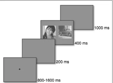 FIGURE 2 | Protocol: the saccadic choice task. A ﬁxation cross is displayed for a pseudo-random time (between 800 and 1600 ms), then, after a 200 ms gap, two images (a target and a distractor) are displayed on the left and right