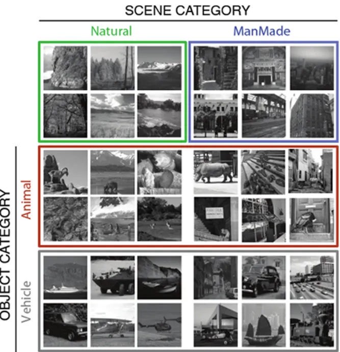 Figure 1. Examples of stimuli used in this study. In the two contextual discrimination tasks, only neutral natural and man-made environments (without foreground objects) were used as targets or distractors according to the task