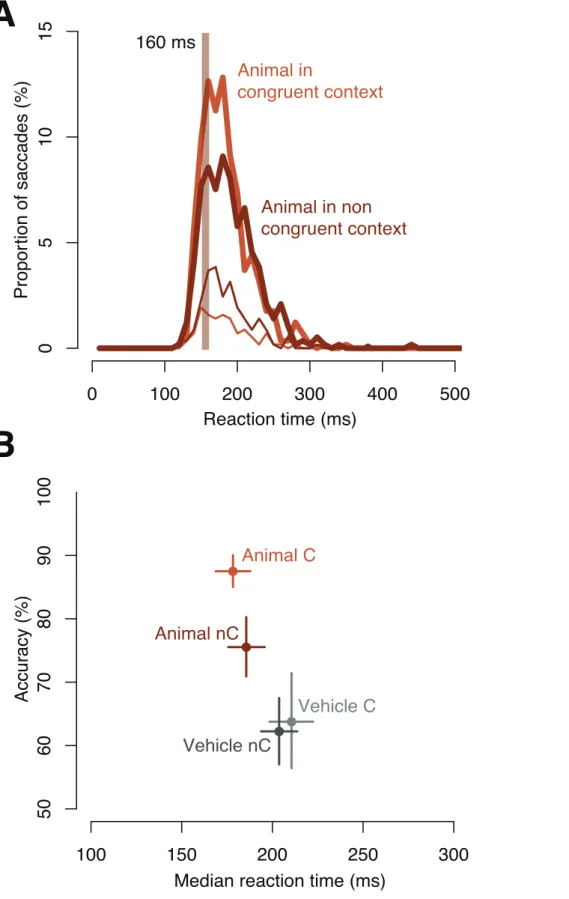 Figure 4. Behavioral results in object tasks when both target and distractor were either congruent (C, light) or incongruent (nC, dark)