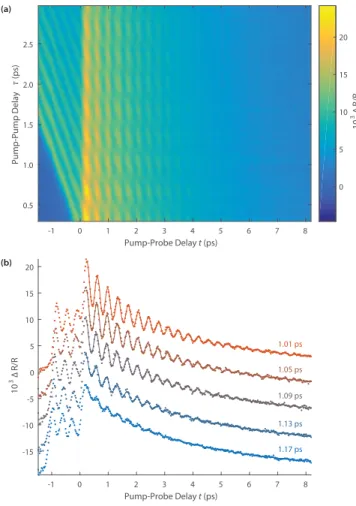 FIG. 3. The 2D fast Fourier transform spectrum of the transient reflectivity data for t &gt; 0 in Fig.2(a)