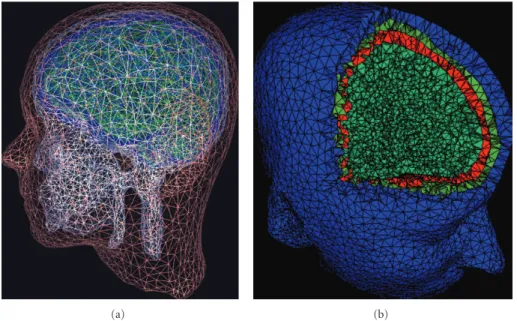 Figure 3: Two examples of (a) a set of subject head BEM meshes (modeling scalp, skull, cerebrospinal fluid (CSF), and cortex tissue boundaries) and (b) a FEM head volume for the same subject with 3-D voxels for scalp, skull, and brain tissues shown in diﬀe