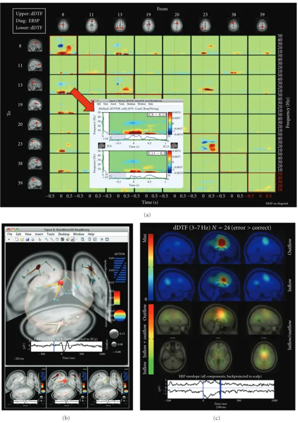 Figure 4: EEG-based brain connectivity analysis and visualization using SIFT. (a) An interactive time-frequency grid demonstrating transient bursts of theta (3–7 Hz) and delta (1–3 Hz) band information flow during error commission, estimated using the dire
