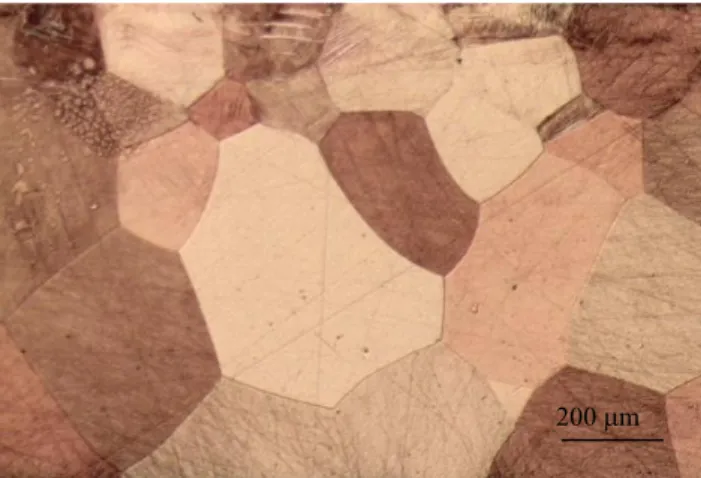 Figure 2. Microstructure of the studied alloy (optical  microscopy).