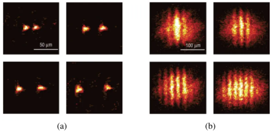 Figure 1.1: A matter-wave interference experiment performed with 87 Rb. (a) A BEC is split into two portions, with a variable separation between the two