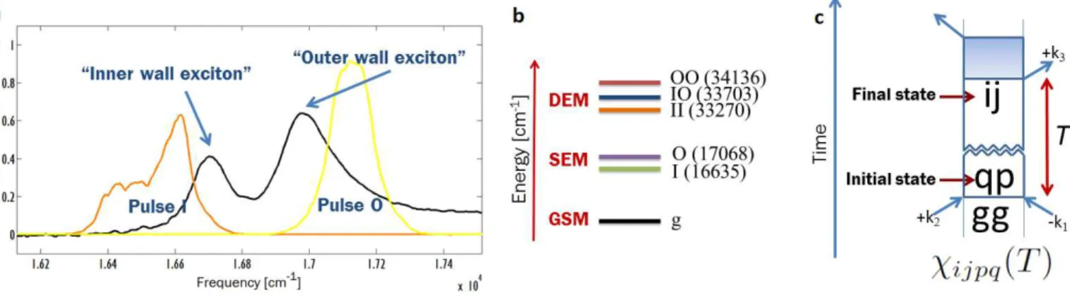 Figure 2: The concepts behind our QPT protocol. (a) Simplified absorption spectrum of the light harvesting nanotubes in the flow cell revealing only two optical transitions when exposed to light that is polarized along the long axes of the nanotubes