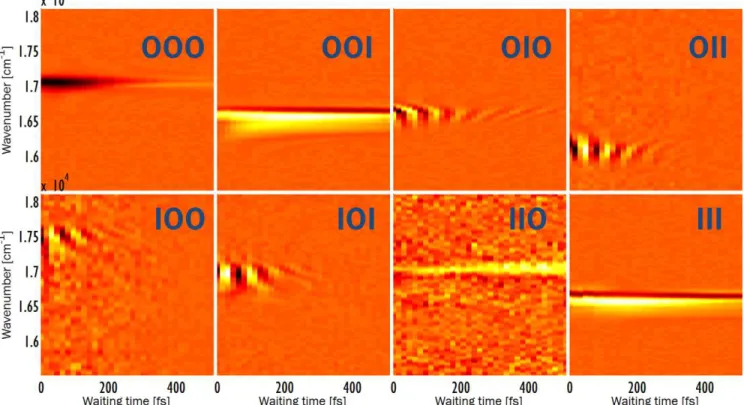Figure 4: Absorptive part of eight narrowband TG experiments on the two exciton-band system of the double-wall J-aggregate