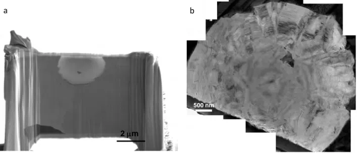 Figure 1  –  SEM image of a diametrical section of a graphite nodule obtained by FIB (a)  and   photomontage of bright field images showing an overview of the sample (b)