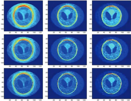 Fig. 6.10 . Test 2 (c): source localization using I CIR with X d and Ω d given by X d = 0 