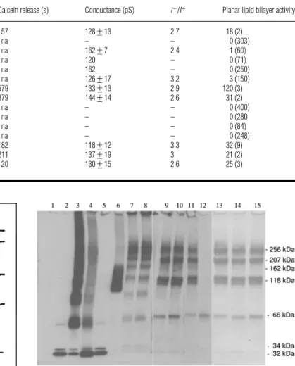Figure 6 Formation of ion channels in planar lipid bilayers by Hlg and dimers