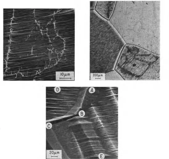 Fig. 9. a  (left) Veining i n  the distribution o f  basal dislocations  in deformedpolycrystalline  ice