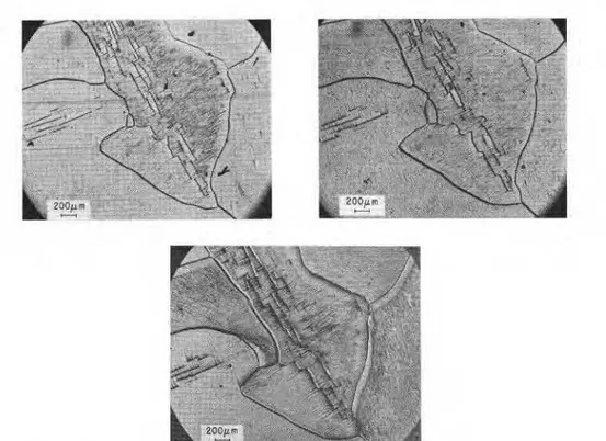 Fig.  I I .   Etching features  in deformed  S-2  ice  at  various depths  and  lapse  of times