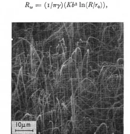 Fig.  r .   Scanning  electron micrograph of a forest  of basal-plane  dislocations represented by  the corresponding whiskers  on  { I   r l o }   surface